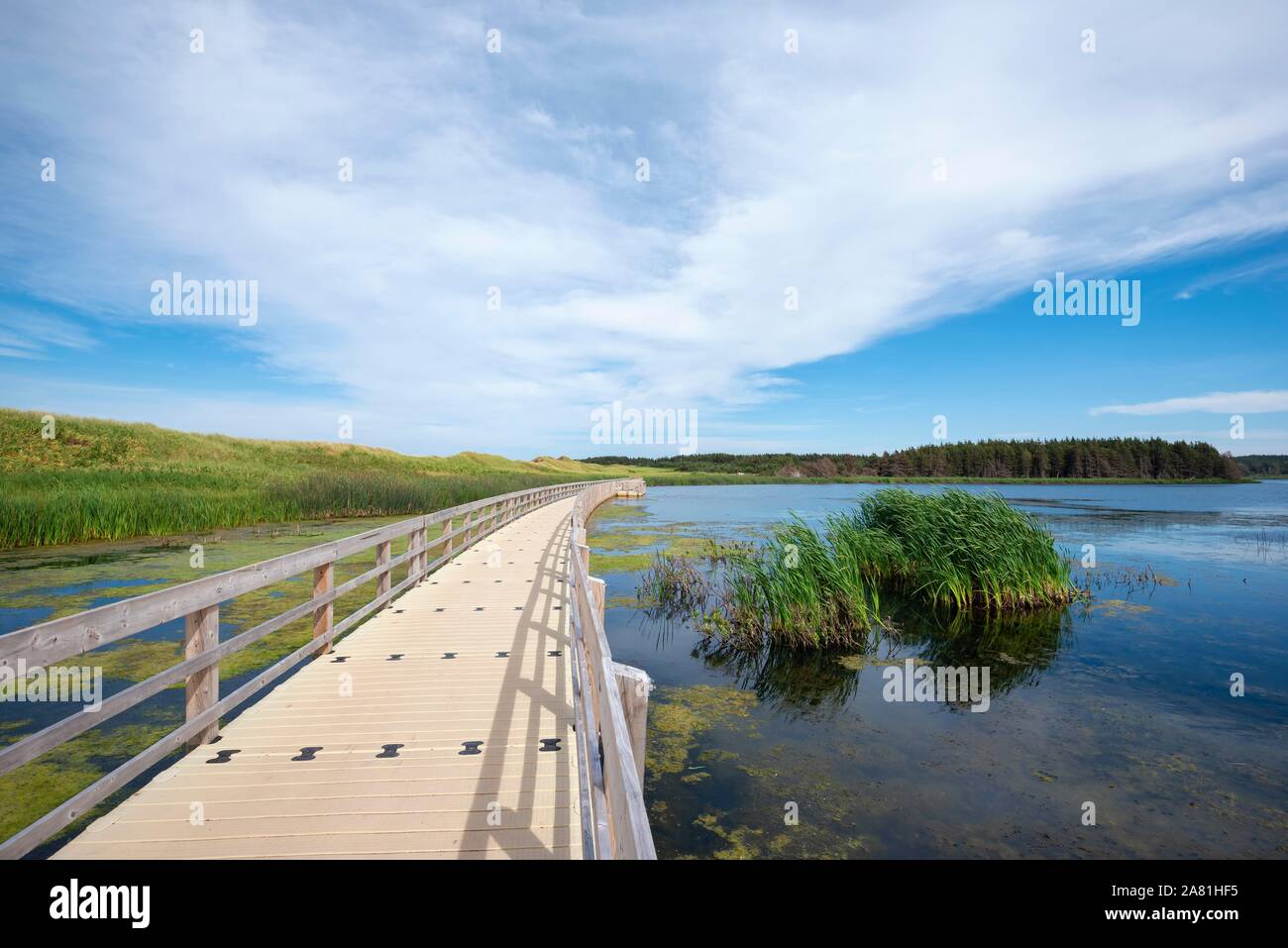 Jetée flottante au lac de shining waters, Prince Edward Island, Canada Banque D'Images