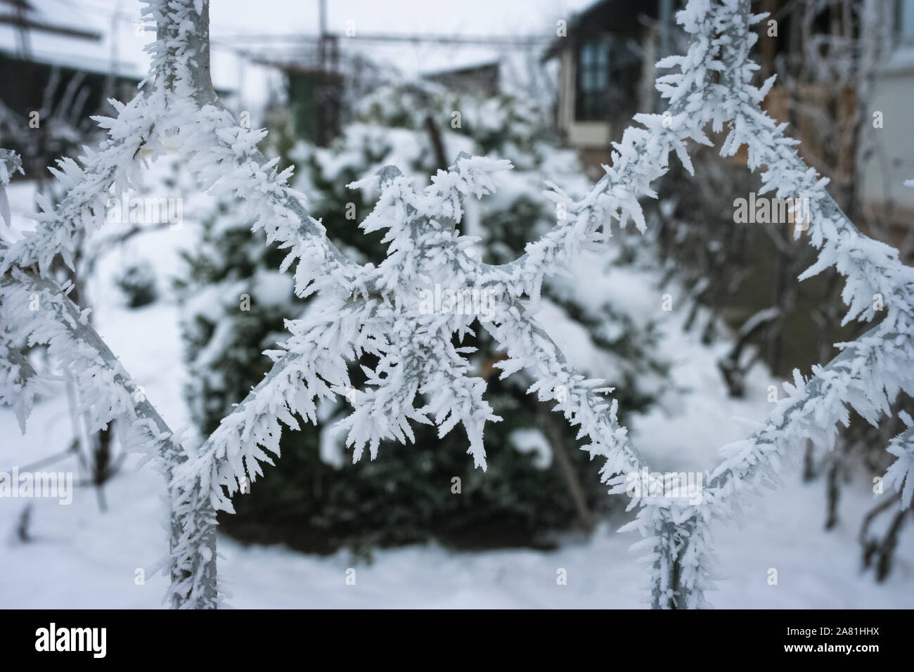 Givre ou de la gelée blanche sur un jardin clôture par un froid matin d'hiver Banque D'Images