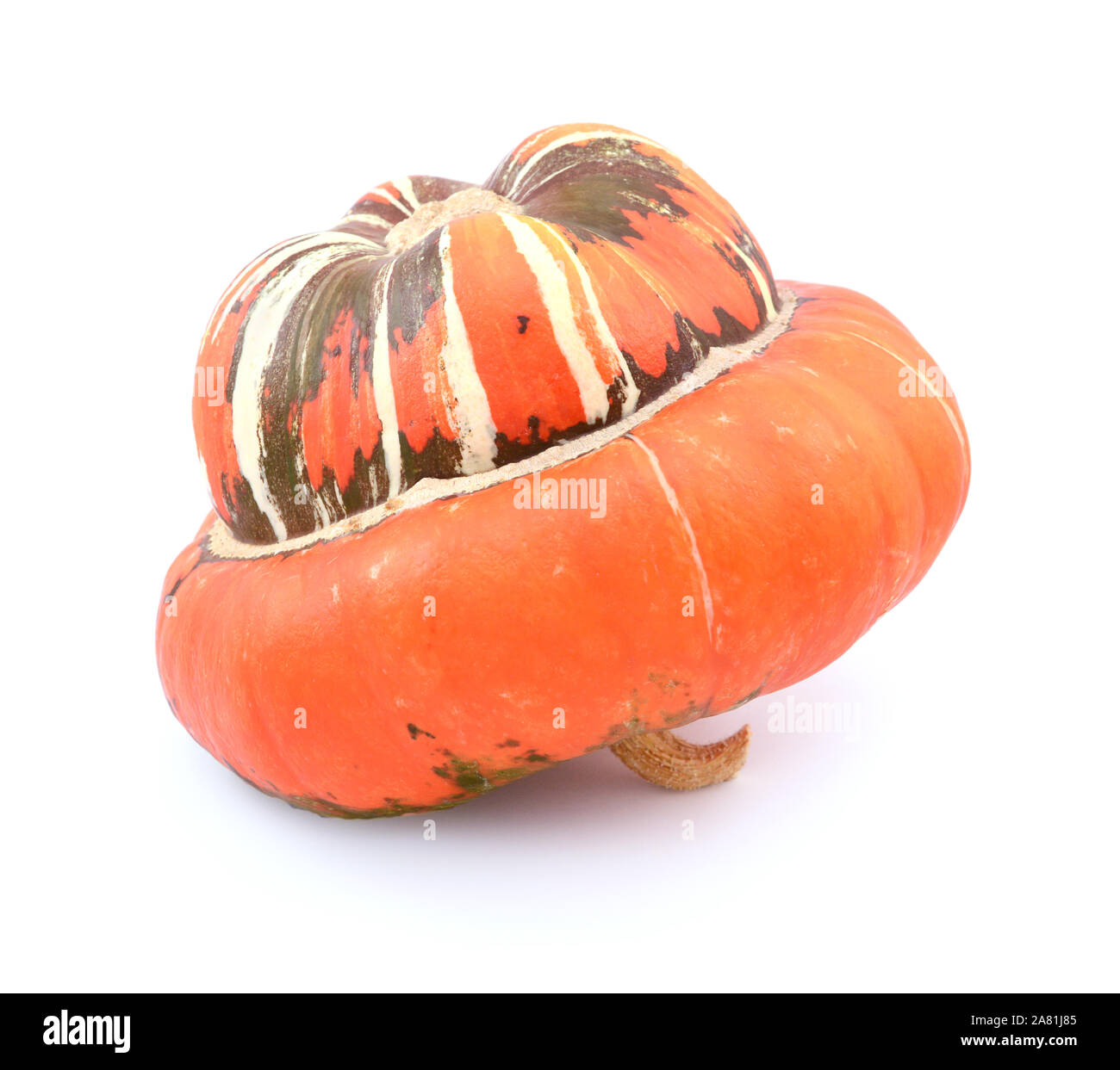 Profil de grand Turks Turban gourd, avec un bouchon orange, reposant sur sa tige sur un fond blanc Banque D'Images