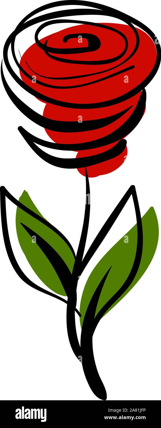 Rose dessin, illustration, vecteur sur fond blanc. Illustration de Vecteur