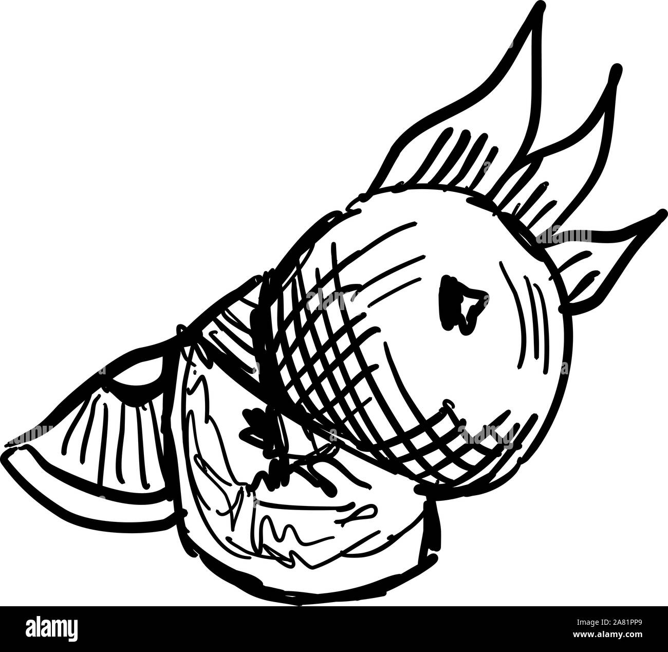 Mandarine dessin, illustration, vecteur sur fond blanc. Illustration de Vecteur