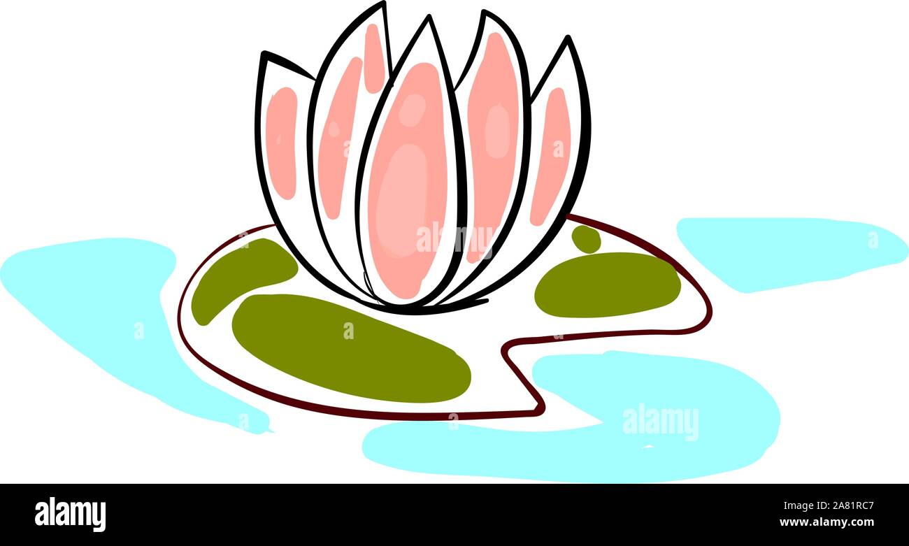 Nenuphar Dessin Illustration Vecteur Sur Fond Blanc Image Vectorielle Stock Alamy