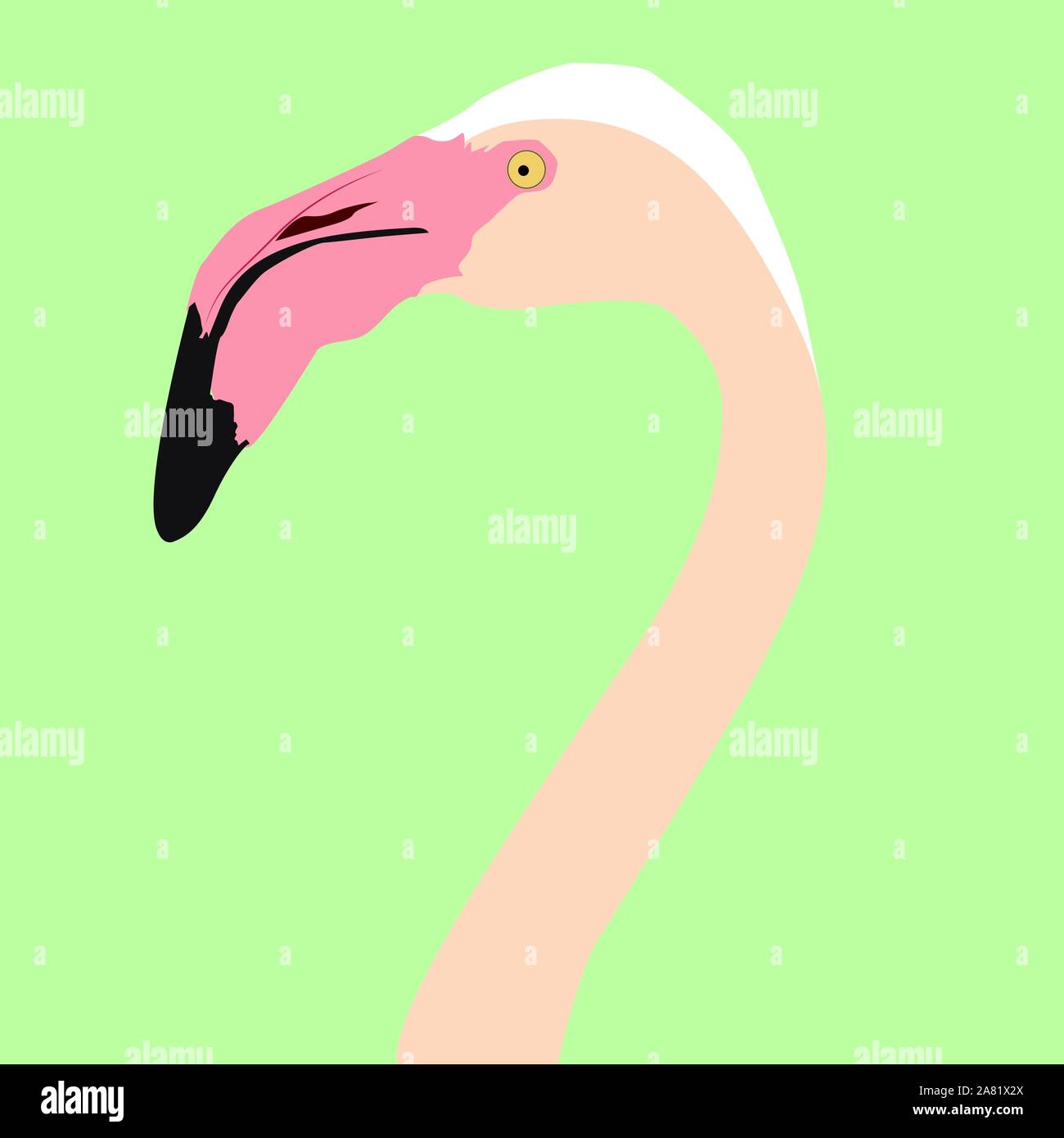 Flamingo bird, illustration, vecteur sur fond blanc. Illustration de Vecteur