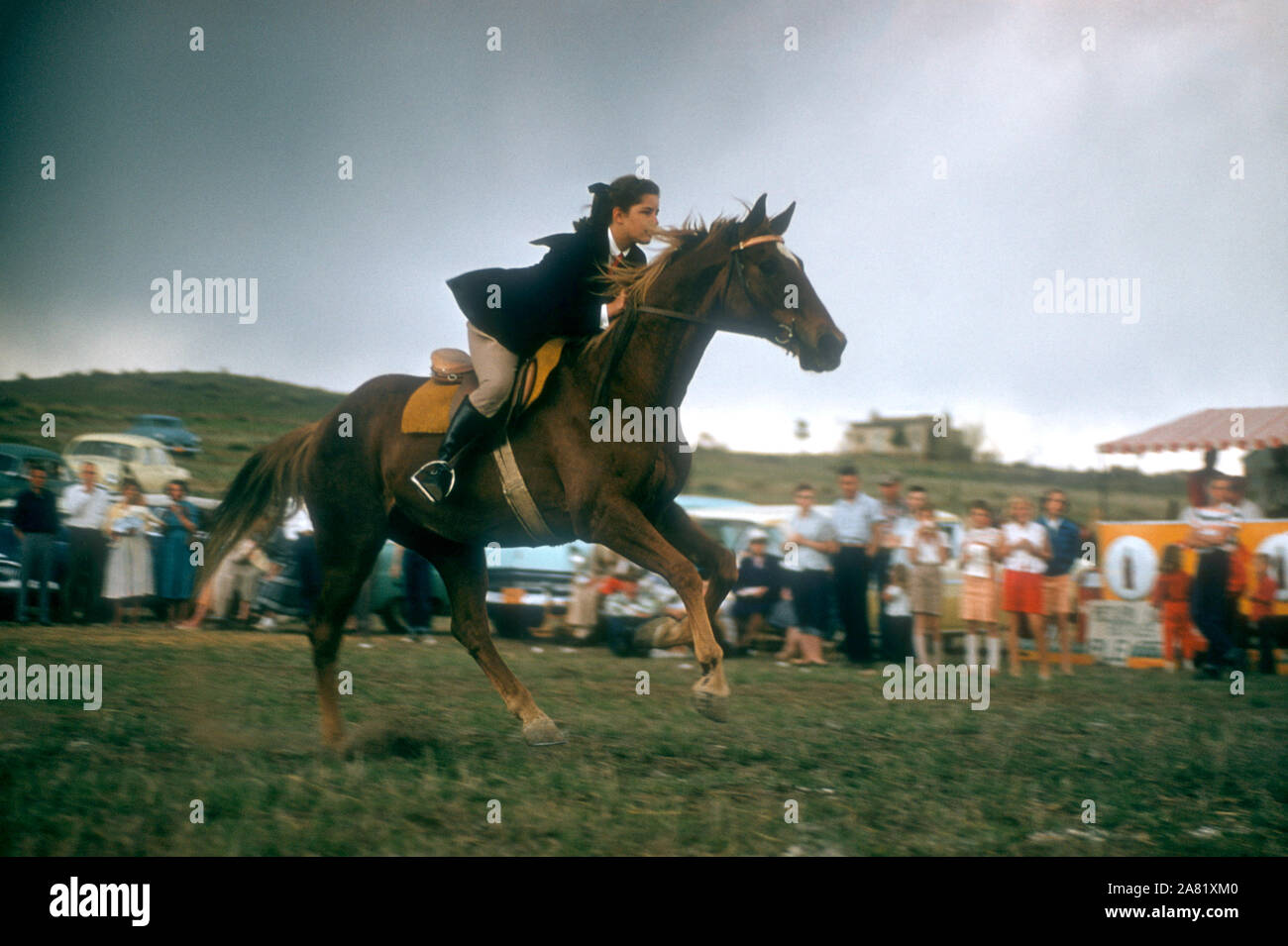 COLORADO SPRINGS, Colorado - Mai 1954 : vue générale d'une femmes non identifiées rides son cheval tout en participant au Gymkhana, qui est un événement équestre composé de modèle de vitesse et de course jeux chronométré pour les cavaliers sur des chevaux vers mai 1954 à Colorado Springs, Colorado. (Photo de Hy Peskin) (Définition du nombre : X4588) Banque D'Images