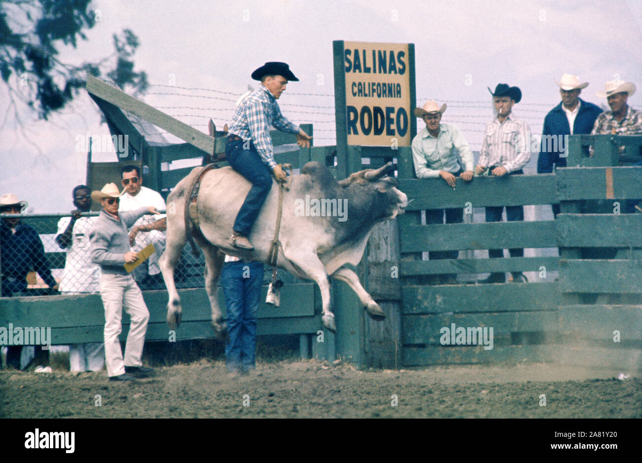 SALINAS, CA - 20 juillet : Un homme non identifié monte un taureau au cours de la California Rodeo le 20 juillet 1961 à Salinas, en Californie. (Photo de Hy Peskin) Banque D'Images