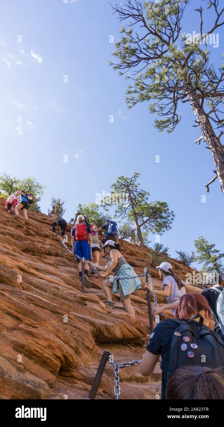 Le tourisme de masse, de nombreuses personnes sur le sentier de randonnée jusqu'à Angels Landing dans le Zion National Park, Utah, USA Banque D'Images