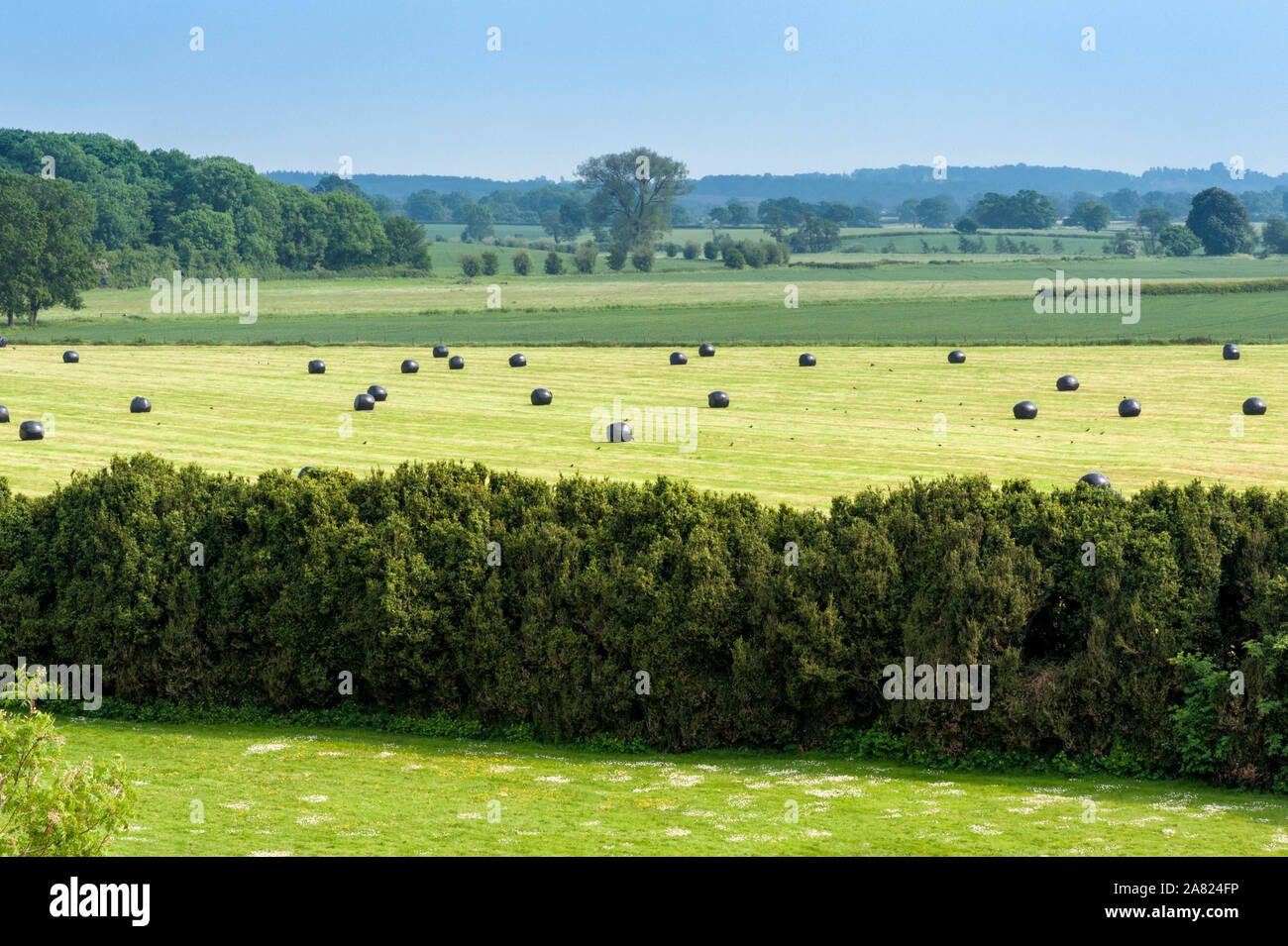 Château de Berkeley, dans le comté de Gloucestershire, Angleterre. Construit pour défendre l'estuaire de la Severn et la frontière galloise et réputé site de l'assassinat d'Édouard II Banque D'Images