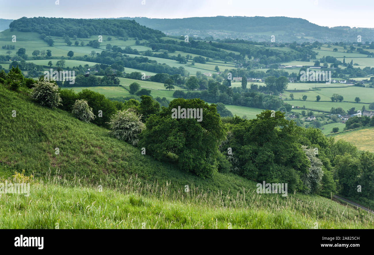 Uley - Vue sur M. Downham Hill vu de Uley Bury, Outliers Cotswold près de Dursley, Gloucestershire - Angleterre Banque D'Images