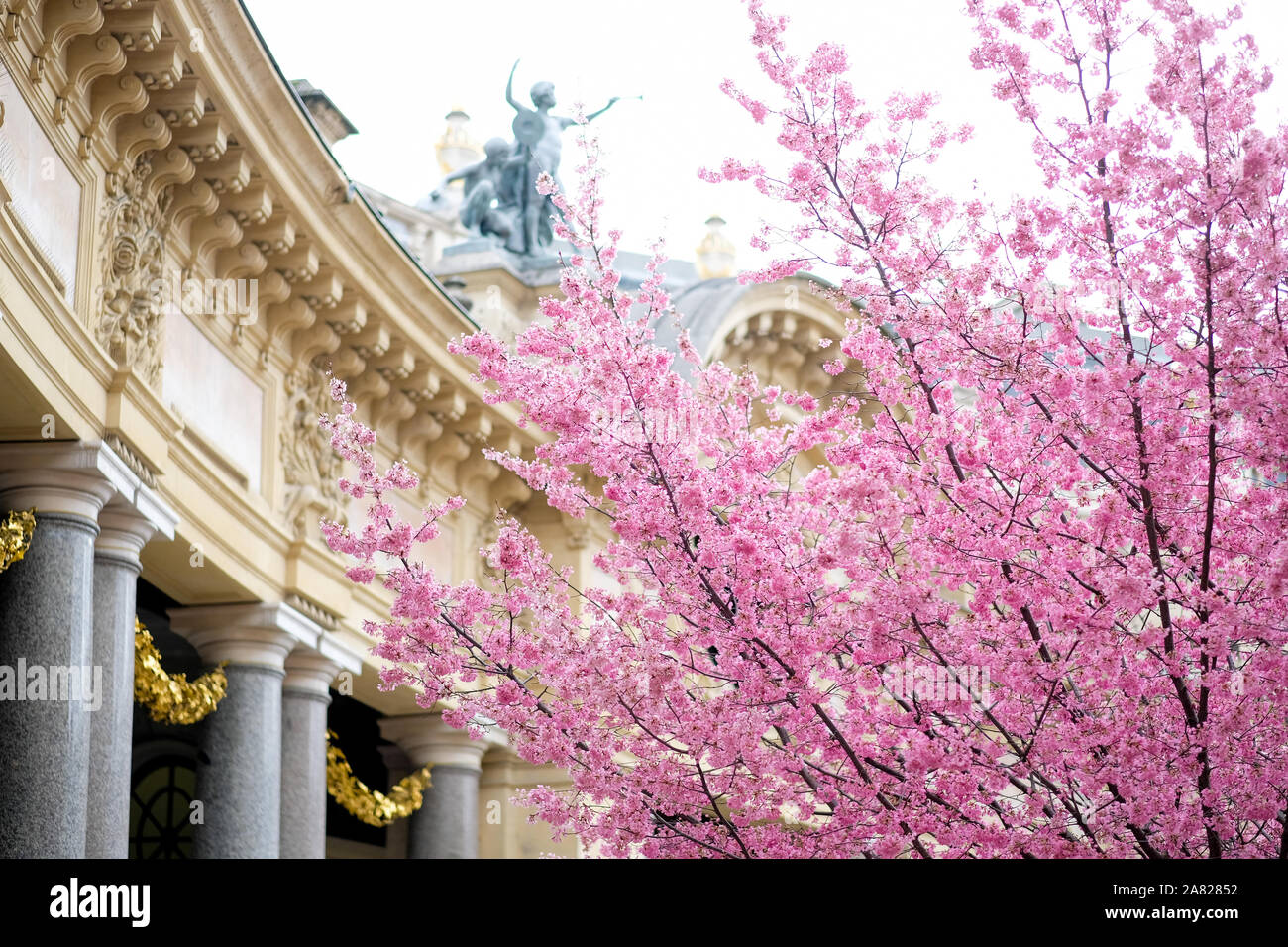 Petit Palais, Paris au printemps Banque D'Images