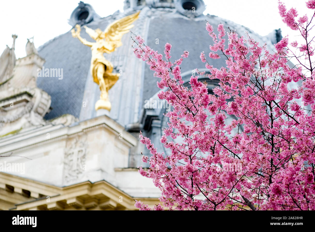 Petit Palais, Paris au printemps Banque D'Images