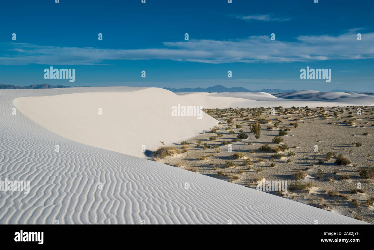 WHITE SANDS NATIONAL MONUMENT ALAMOGORDO NOUVEAU MEXIQUE Banque D'Images