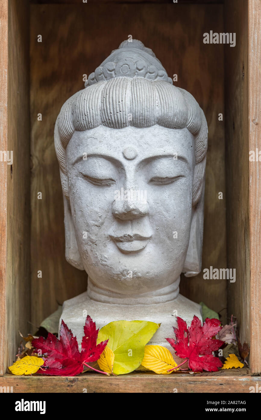 Statue bouddhiste en rouge et jaune feuilles d'automne à l'intérieur d'une boîte d'affichage en bois Banque D'Images