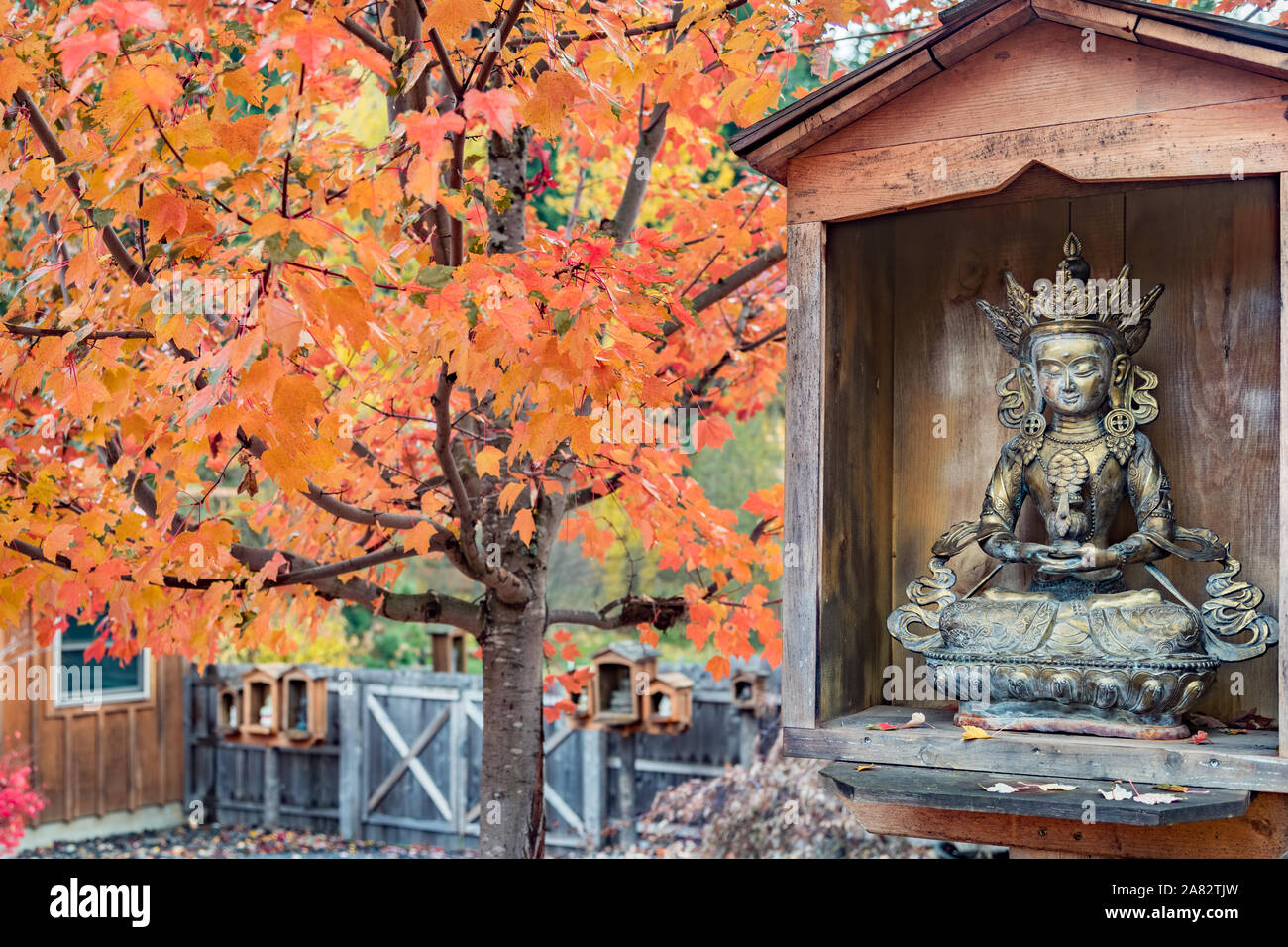 Statue de Bouddha. Tara Verte dans boîtier en bois avec scène d'automne érable rouge et orange Banque D'Images