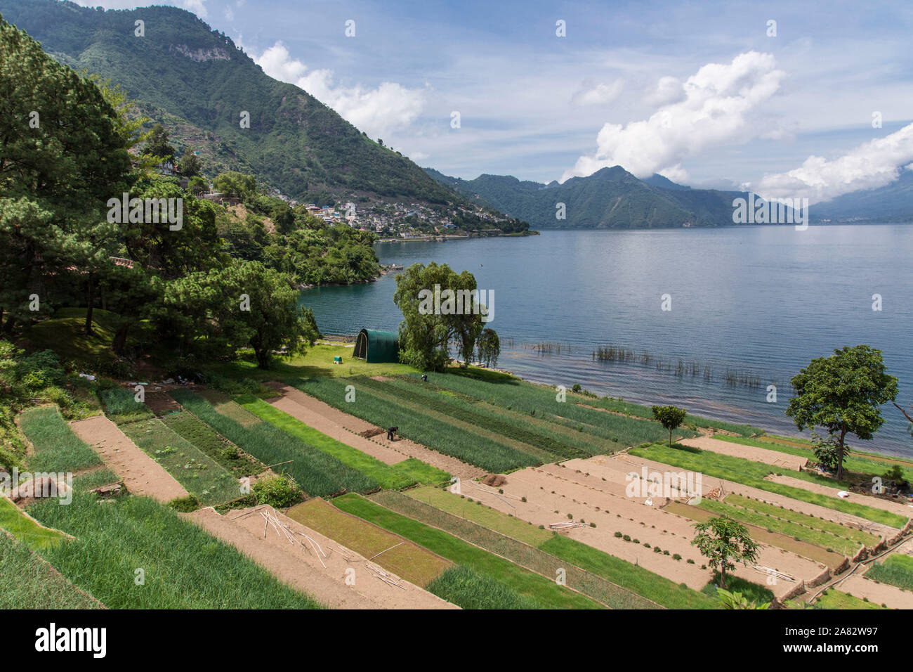 Vue du lac Atitlan vers San Antonio Palopo, Guatemala. Les champs agricoles en terrasses sont en premier plan avec les hommes travaillant dans les champs. Banque D'Images