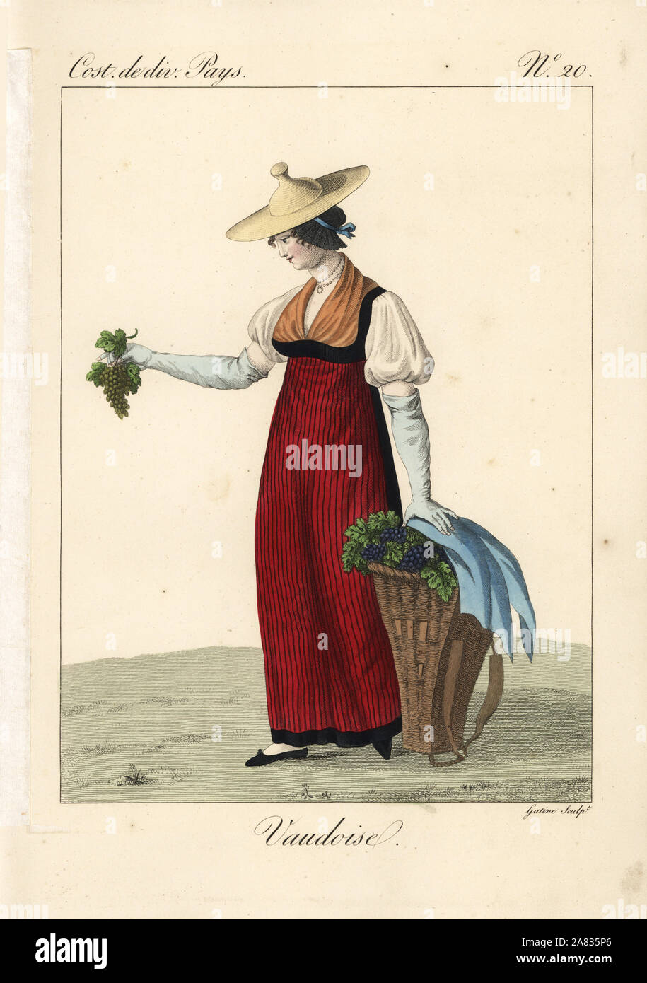 Woman picking grapes dans le costume traditionnel de Vaud, Suisse, 19e  siècle. Son chapeau de paille a un protruberance sous la forme d'un goulot  d'étranglement, et est portée par-dessus un bonnet noir