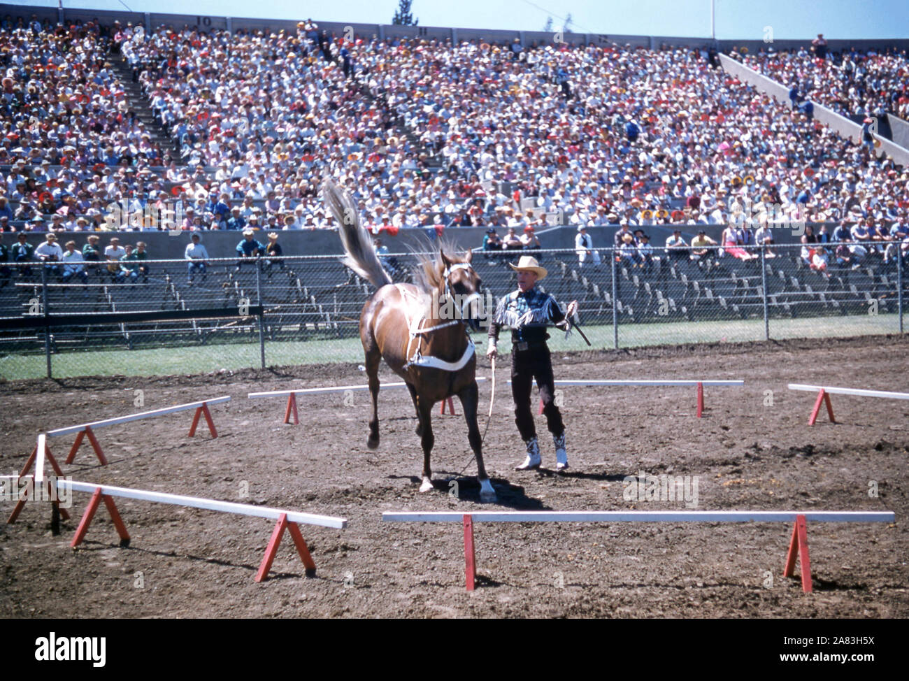 SALINAS, CA - 15 juillet : un homme obtient son cheval pour faire des tours au cours de la California Rodeo le 15 juillet 1955 à Salinas, en Californie. (Photo de Hy Peskin) (Définition du nombre : X2848) Banque D'Images