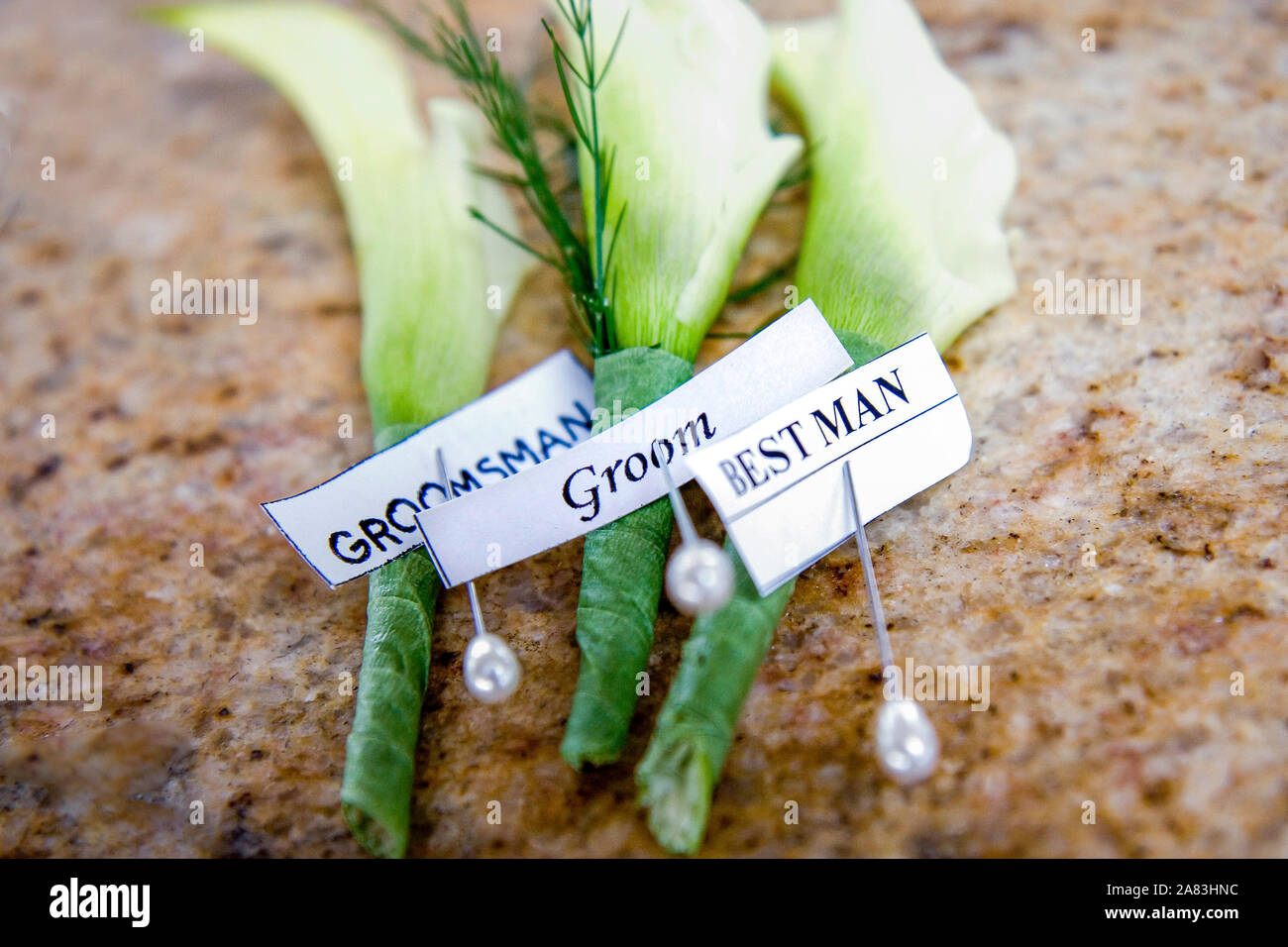 Boutonnieres sur lillies pour groom meilleur homme et groomsman et stick pins Banque D'Images