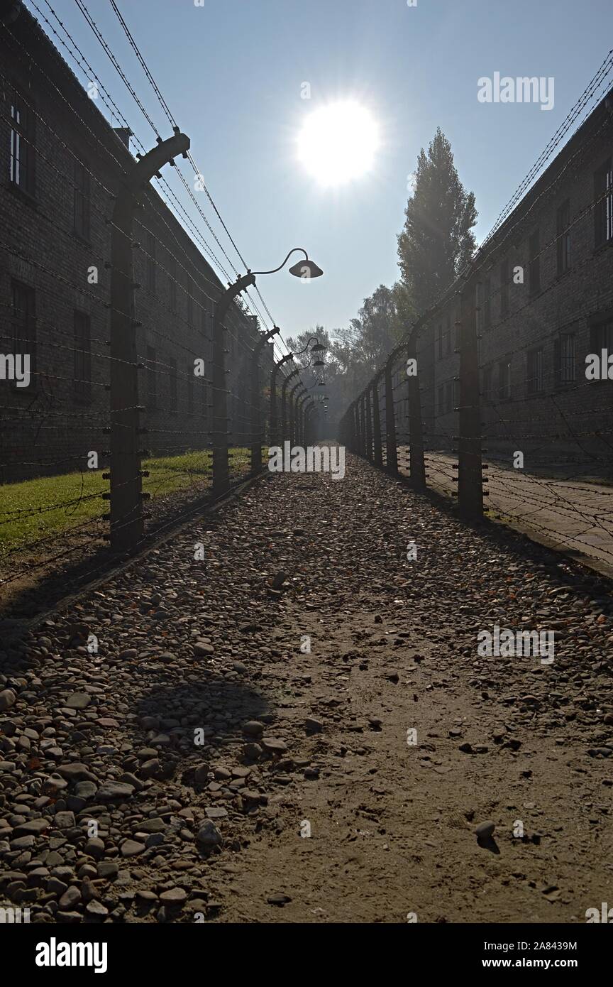 Postes électriques en béton avec Barb Wire à Auschwitz camp concentracion Banque D'Images