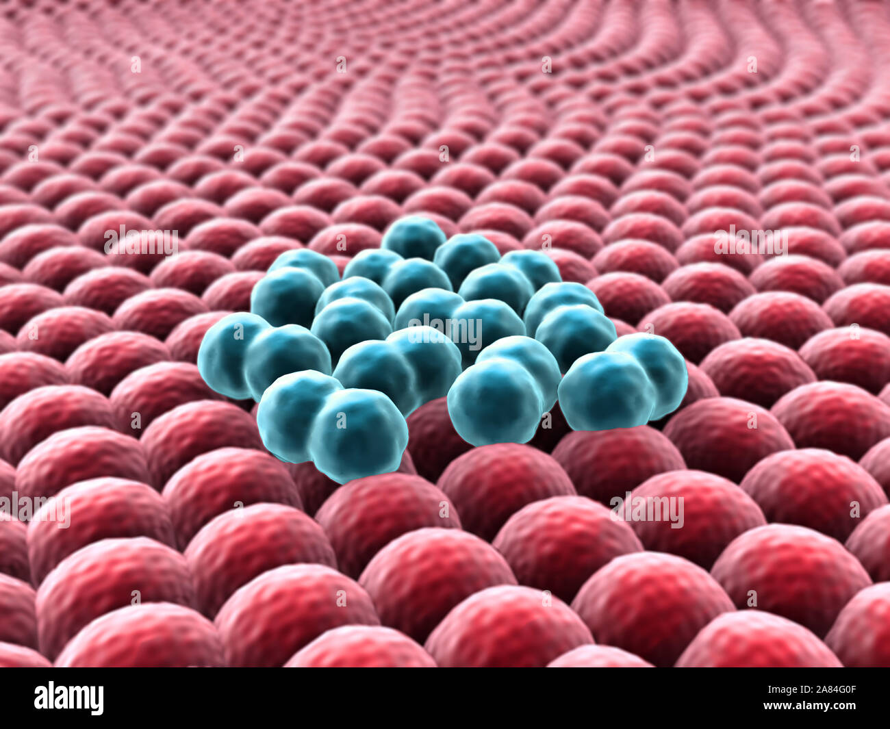 Droit des cellules de cancer, cancer cell en rendu 3D, d'amas de cellules infectées Banque D'Images