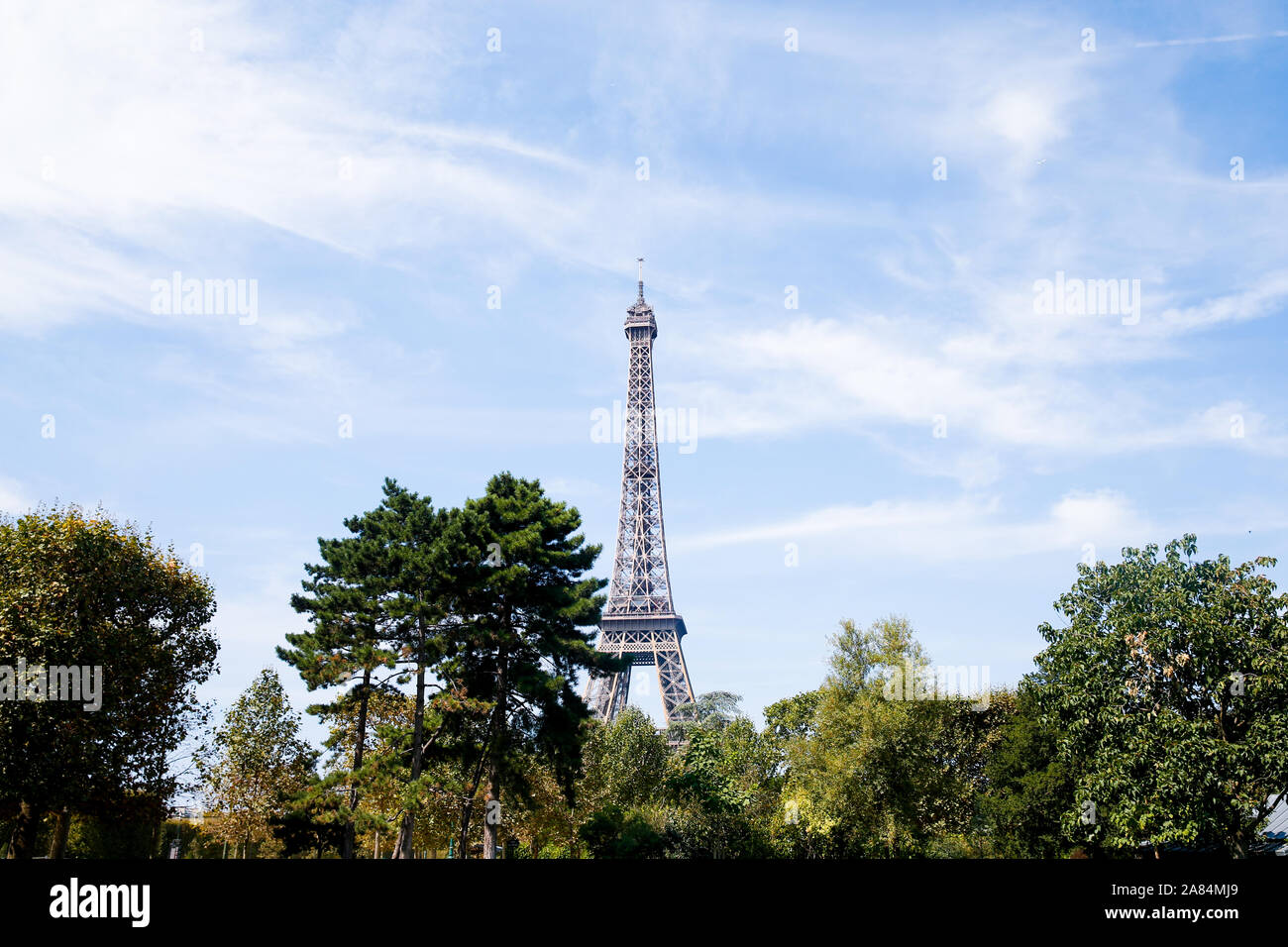 Tour Eiffel entre l'été la végétation, Paris Banque D'Images