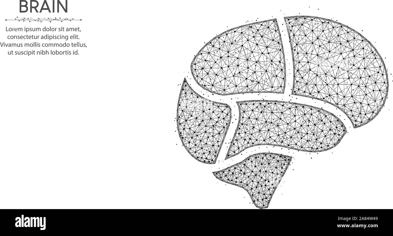 Les zones du cerveau humain, conception poly faible résumé d'art géométrique, wireframe médical polygonal mesh vector illustration faites à partir de points et lignes sur wh Illustration de Vecteur