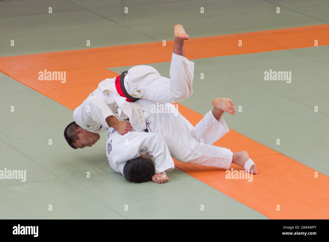 La préparation de Tokyo 2020, Centre International de Judo Kodokan Banque D'Images