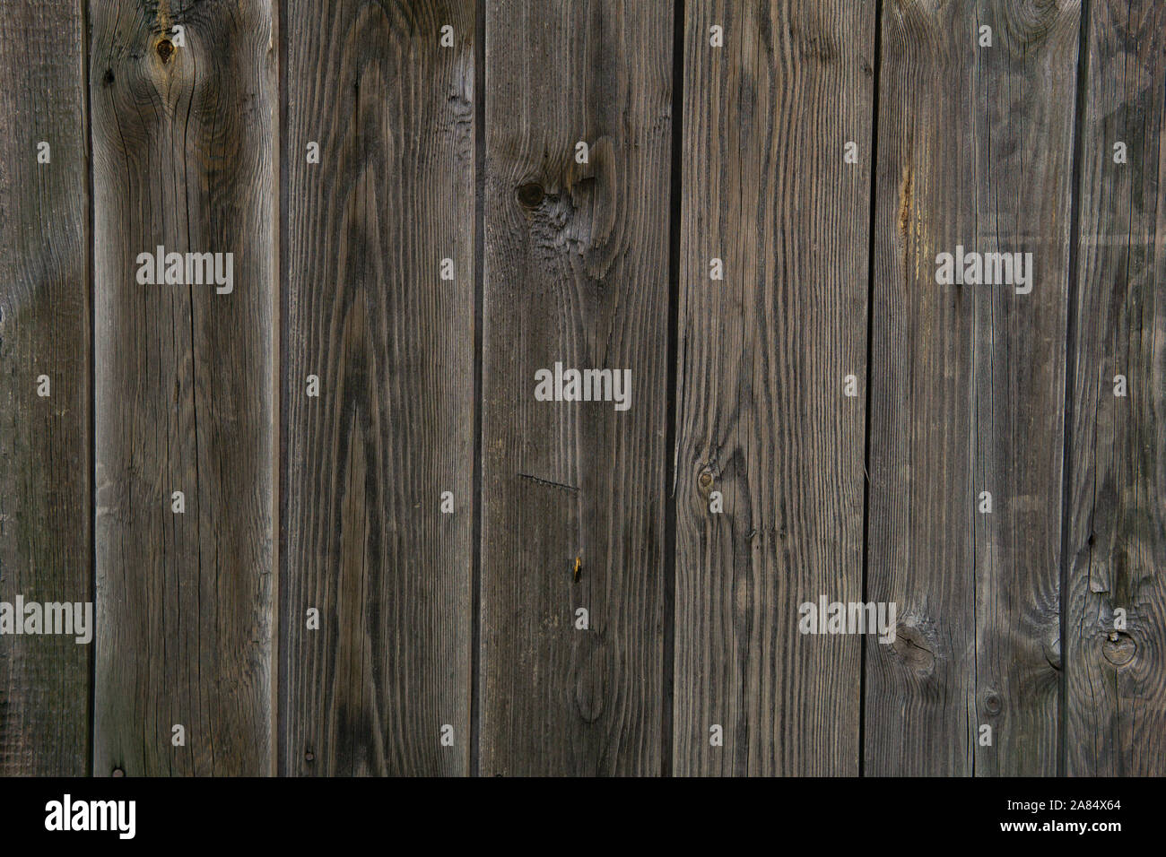 Contexte, la texture - old plank clôture des conseils non peinte Banque D'Images