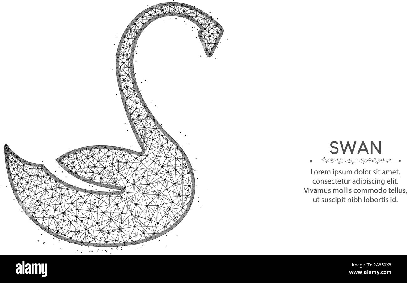 Basse design poly Swan, animal abstract art géométrique, oiseau illustration vectorielle polygonal mesh wireframe faites à partir de points et lignes sur fond blanc Illustration de Vecteur