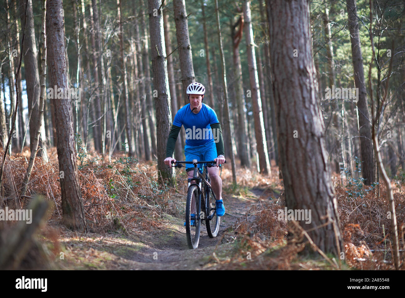 Man mountain biking sur le sentier en automne woods Banque D'Images