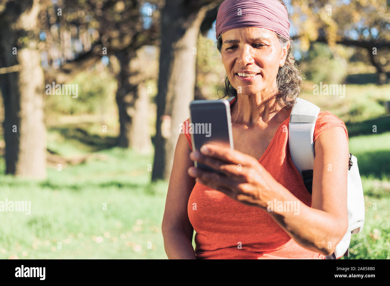 Female hiker using smart phone in sunny woods Banque D'Images