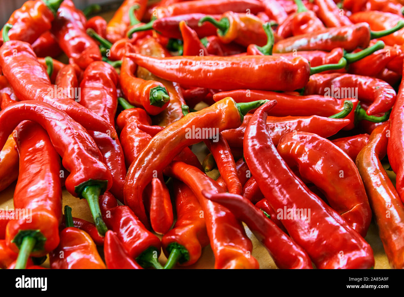 Red Hot Chili Peppers texture background pattern. Close up. Paysage. Un contexte ofRed Hot Chili Peppers. Marché de légumes de la rue. Groupe des Red Hot Banque D'Images