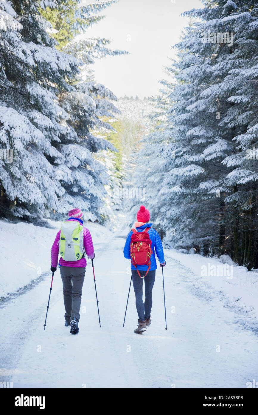 Les femmes avec des bâtons de marche sur le sentier de randonnée dans la neige, les bois à distance Banque D'Images