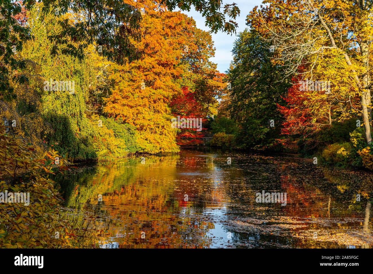 Feuillage automne coloré arbres entourant l'étang. Banque D'Images
