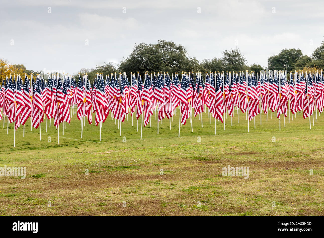 Champ d'honneur de la Journée des anciens combattants de Georgetown, Texas Banque D'Images
