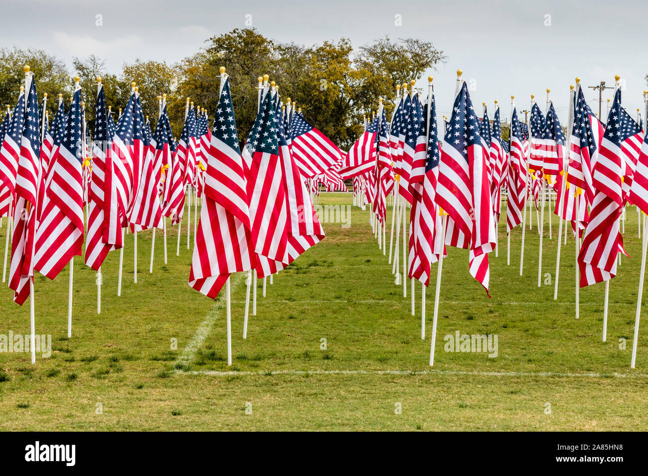 Champ d'honneur de la Journée des anciens combattants de Georgetown, Texas Banque D'Images