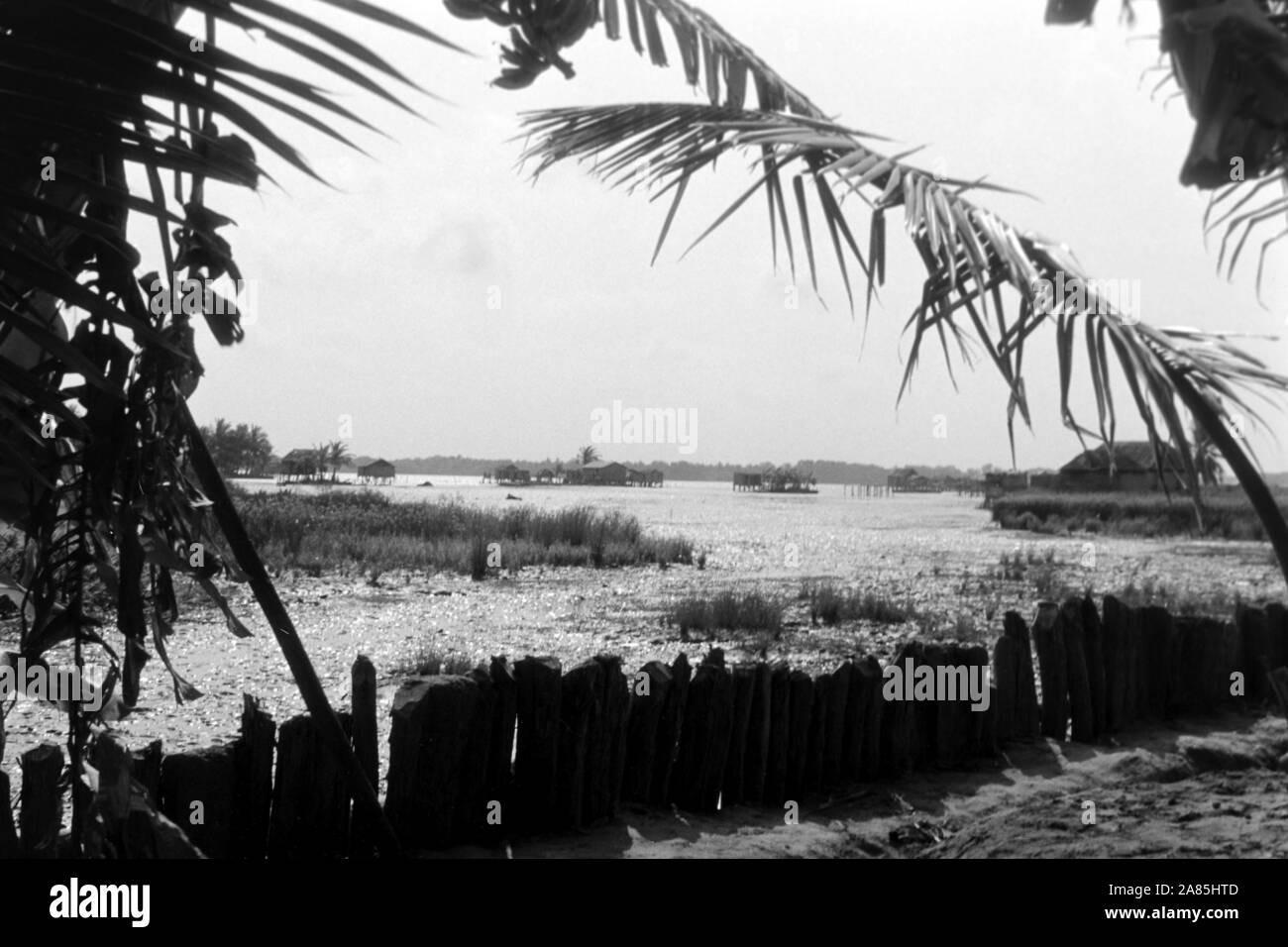 Laguna de Sinamaica am Maracaibo-See, Venezuela, 1960 er. Laguna de Sinamaica au Lac Maracaibo, Venezuela, 1960. Banque D'Images