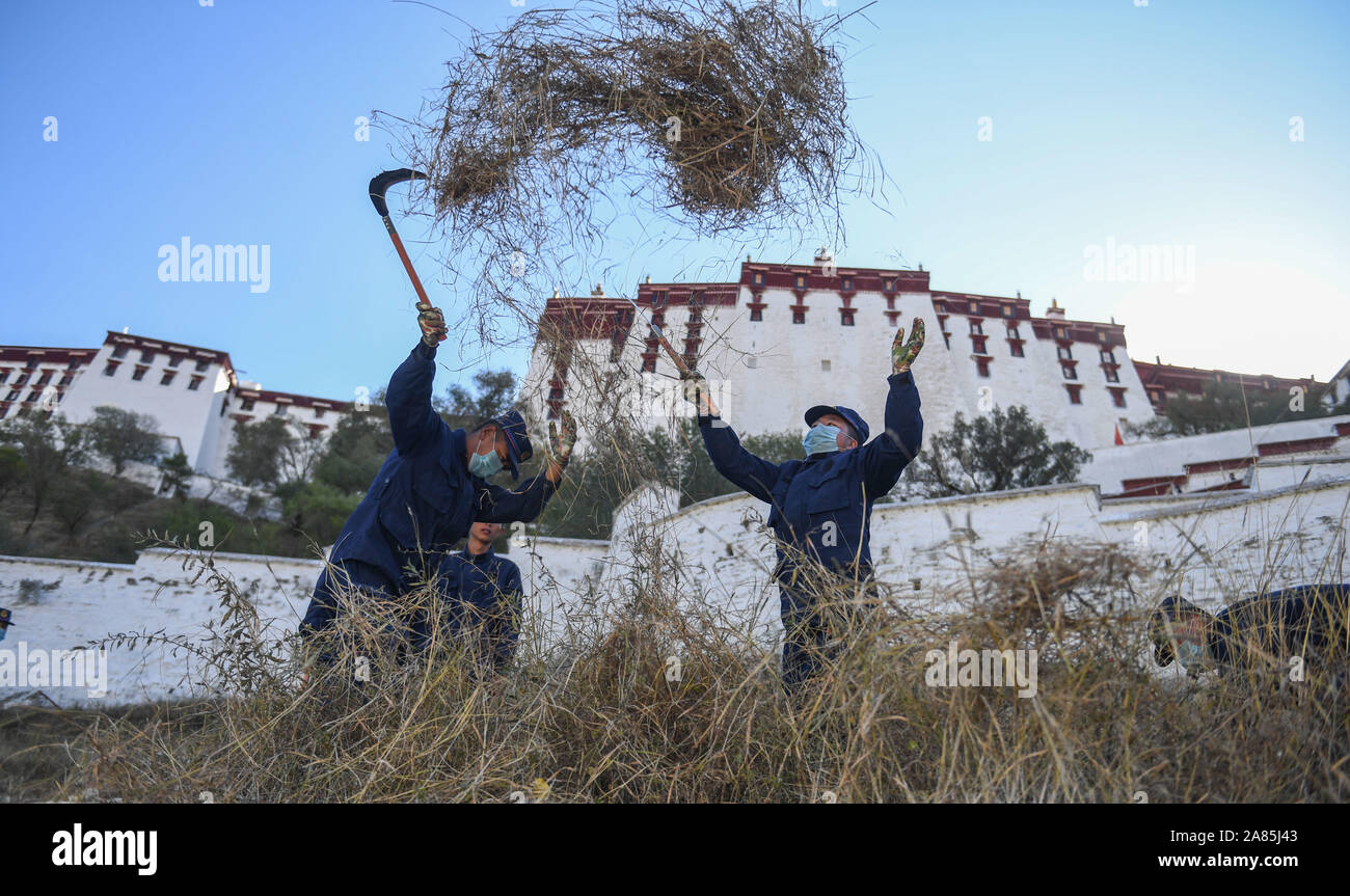 (191106) -- Lhassa, 6 novembre 2019 (Xinhua) -- Les pompiers enlever les mauvaises herbes de l'entourage du Palais du Potala de Lhassa dans la prévention des incendies de l'hiver, capitale du sud-ouest de la région autonome du Tibet, le 6 novembre 2019. Les 1 300 ans de palais a été construit par le roi tibétain Songtsa Gambo au septième siècle. Le palais a été inscrite sur la Liste du patrimoine mondial de l'UNESCO en 1994. (Xinhua/Jigme Dorgi) Banque D'Images
