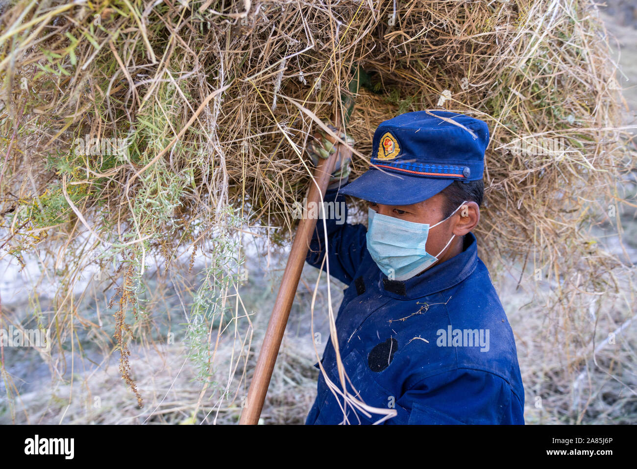 (191106) -- Lhassa, 6 novembre 2019 (Xinhua) -- Un pompier supprime les mauvaises herbes de l'entourage du Palais du Potala de Lhassa dans la prévention des incendies de l'hiver, capitale du sud-ouest de la région autonome du Tibet, le 6 novembre 2019. Les 1 300 ans de palais a été construit par le roi tibétain Songtsa Gambo au septième siècle. Le palais a été inscrite sur la Liste du patrimoine mondial de l'UNESCO en 1994. (Xinhua/Sun Fei) Banque D'Images