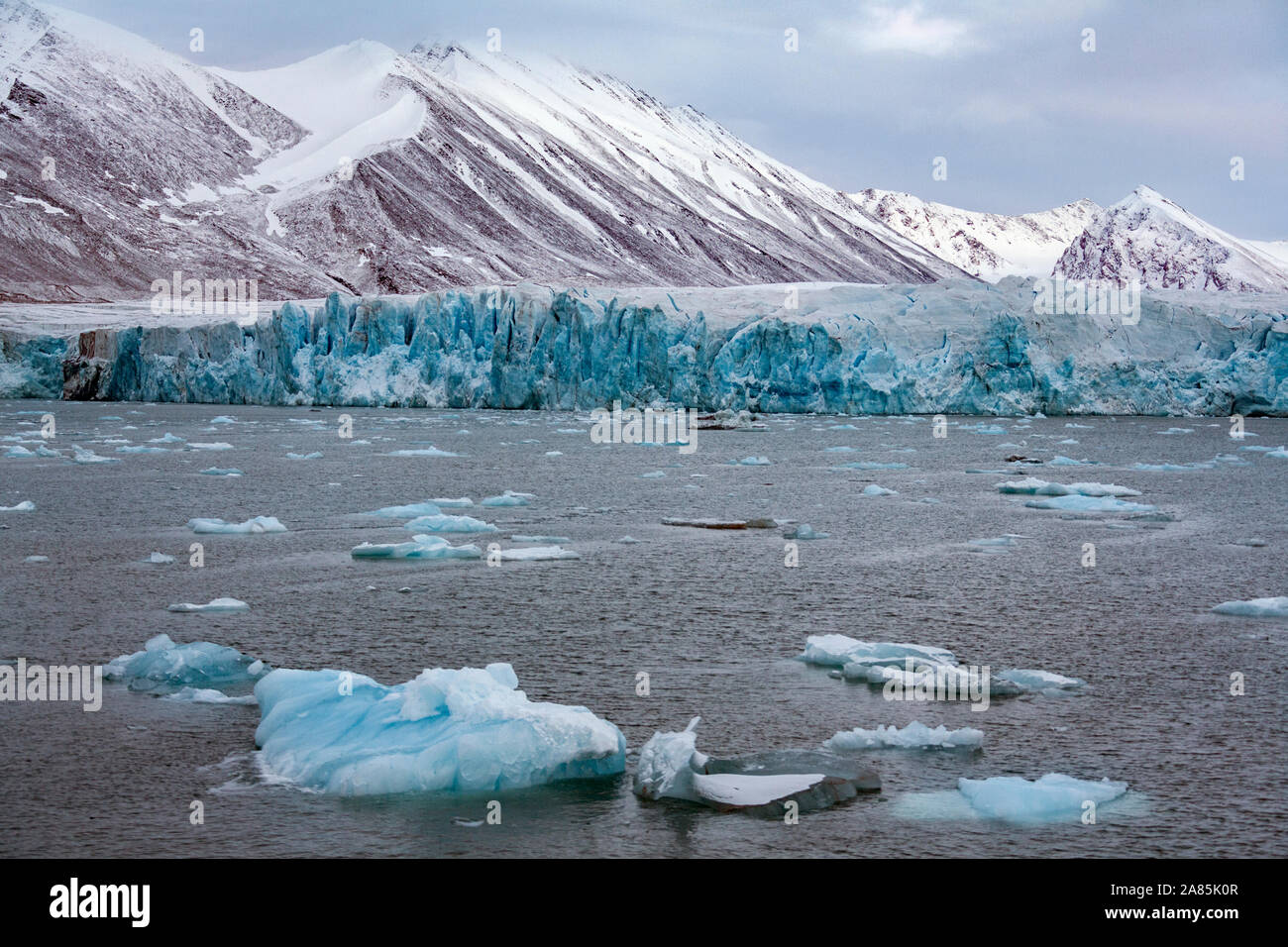Monaco Glacier dans les îles Svalbard (Spitzberg) dans le haut Arctique. Le  glacier est nommé d'après le Prince Albert II de l'expédition de Monacco à  Spitsb Photo Stock - Alamy