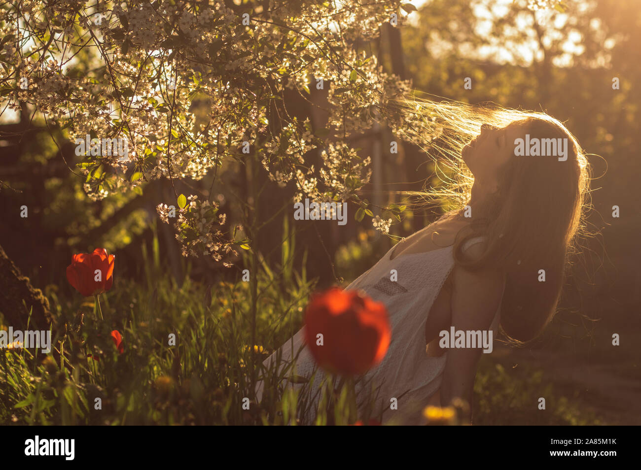 Fille en robe blanche assis parmi les fleurs près de tulipes au coucher du soleil et se jeta sa tête en arrière, le printemps Banque D'Images