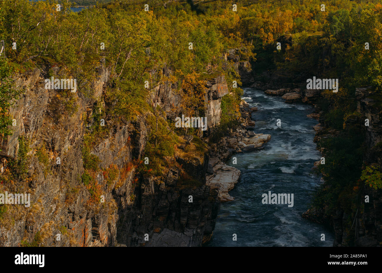 Belle vue sur rivière rapide en Abisko National Park à l'automne, la Suède Banque D'Images