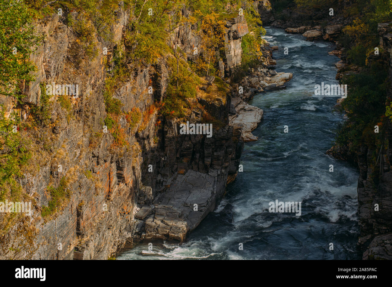 Belle vue sur rivière rapide en Abisko National Park à l'automne, la Suède Banque D'Images