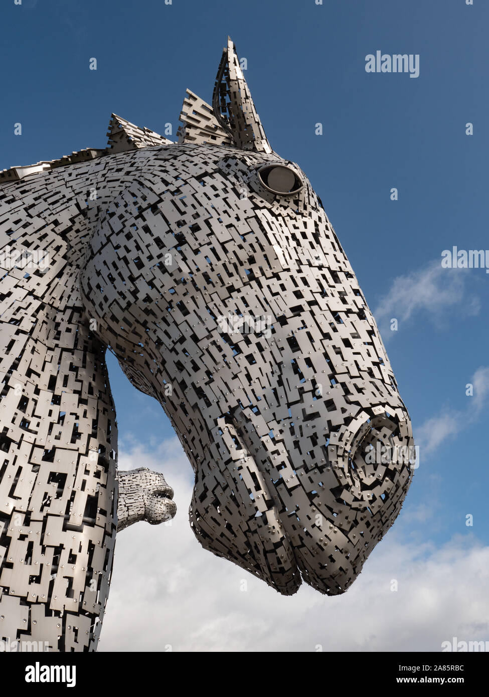 Les Kelpies à l'Helix, Falkirk, Ecosse Banque D'Images