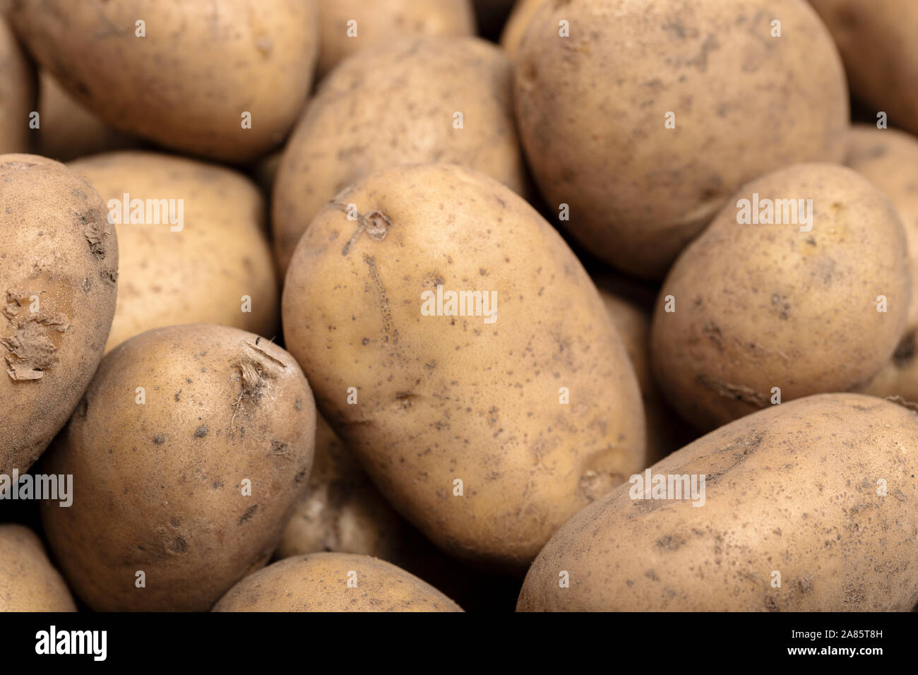 Graines De Pommes De Terre (Solanum Tuberosum) - Environ 20 Semences - Variétés Couleurs Et Formes Différentes - 8
