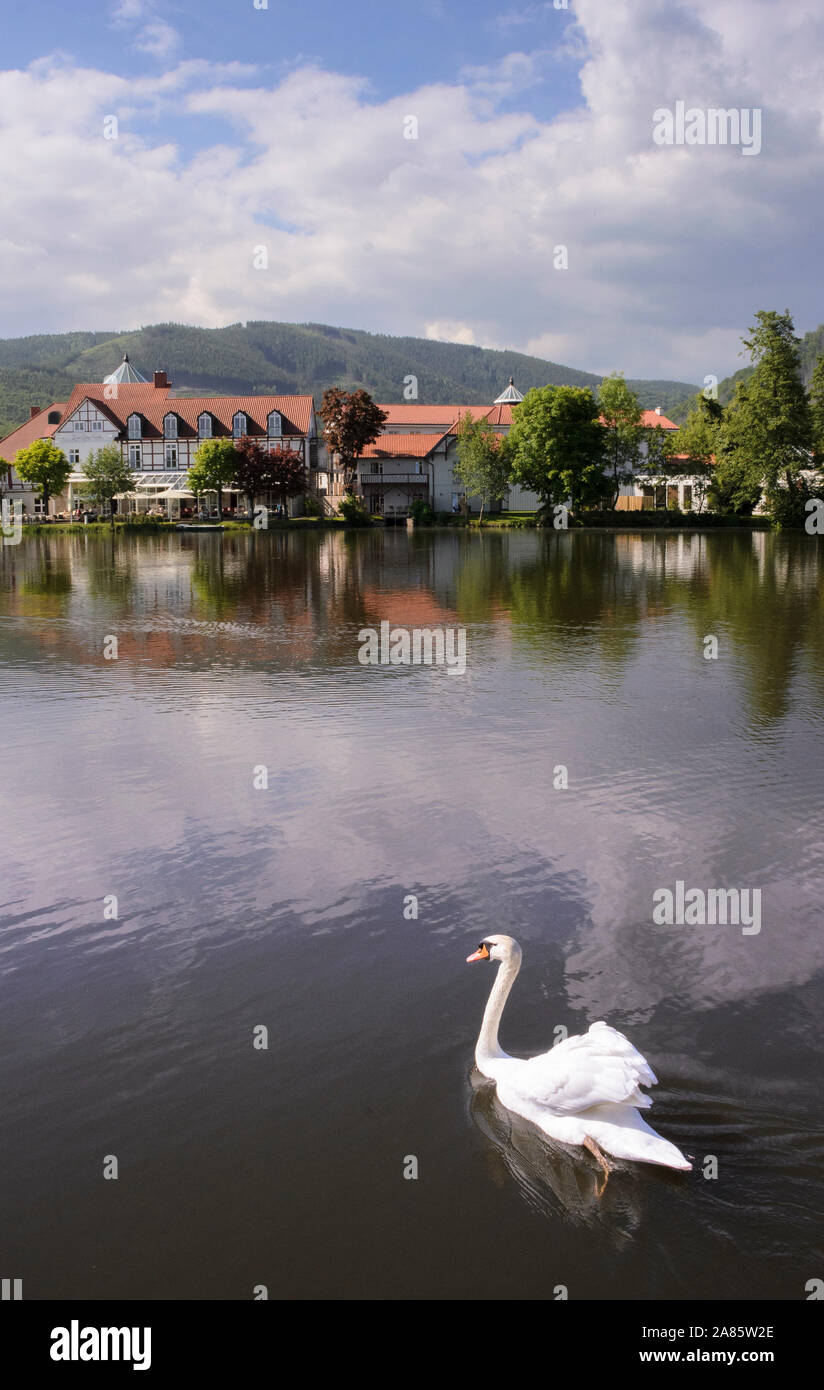 Ilsenburg, Harz, Sachsen-Anhalt, Allemagne, Europa Banque D'Images