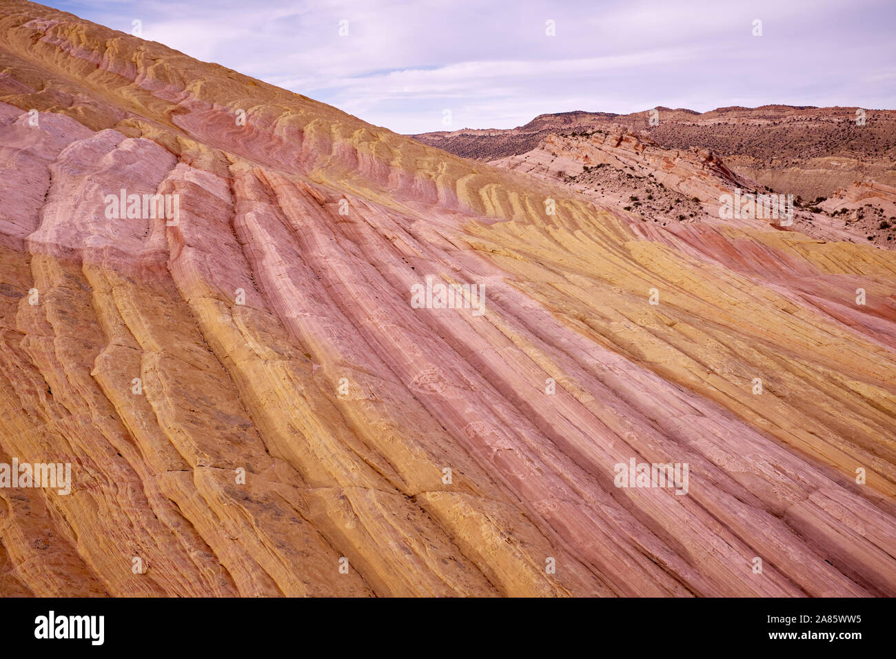 Sur les formations de roche jaune, autour de l'Cockscombe Uplift sur Cottonwood Canyon Road, Utah, USA Banque D'Images