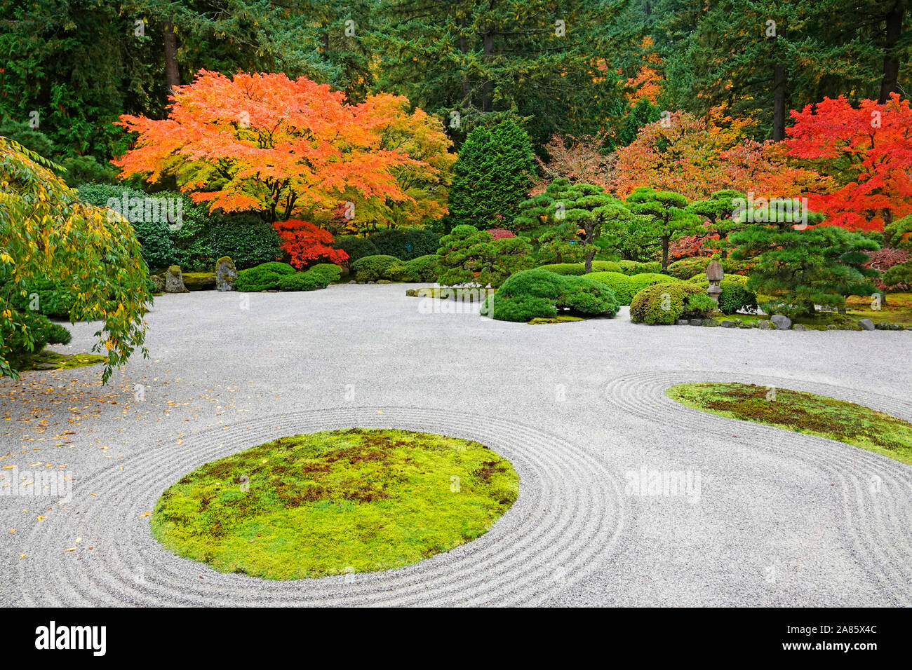 Les érables et autres arbres feuillus exotiques jaune et rouge dans le célèbre jardin japonais de Portland, Oregon, en automne. Banque D'Images