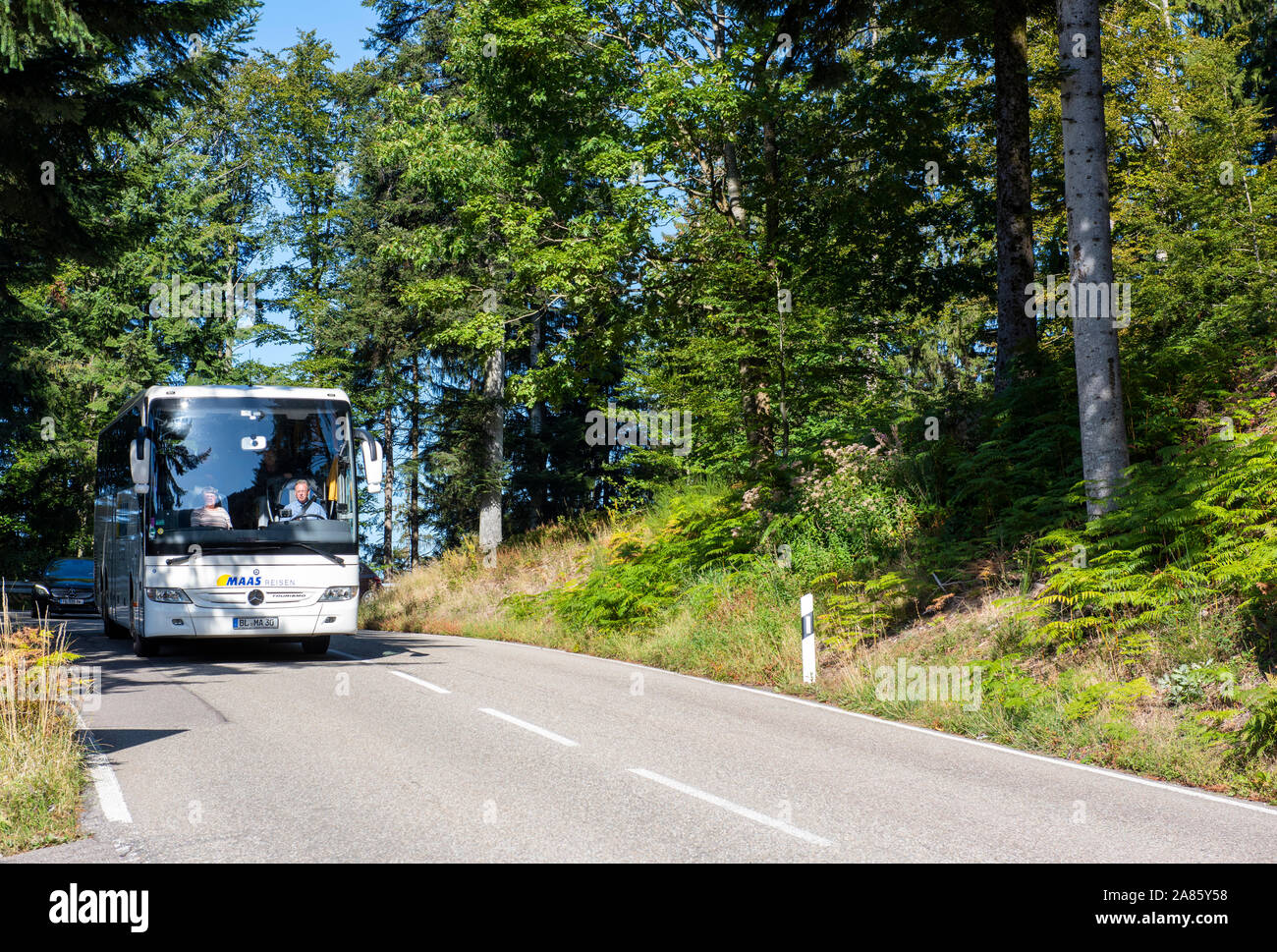 Un bus conduisant par les routes sinueuses de la Forêt-Noire, Allemagne Europe EU Banque D'Images