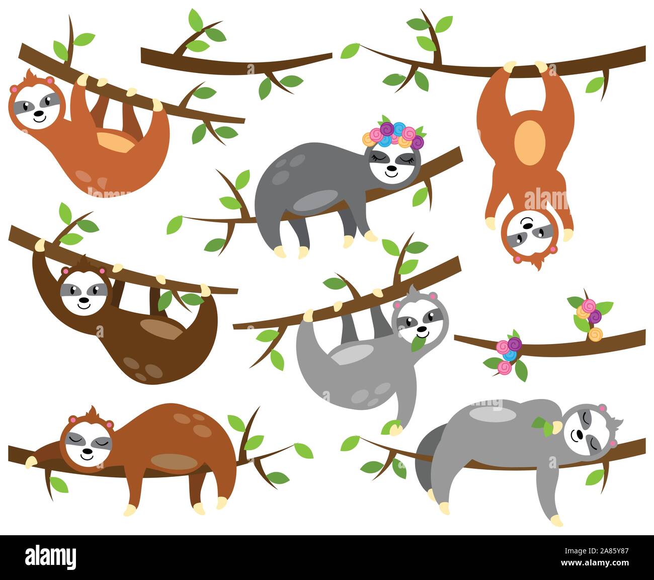 Vector Collection De Paresseux Mignon Dans Differentes Positions Et Avec Des Bebes Image Vectorielle Stock Alamy