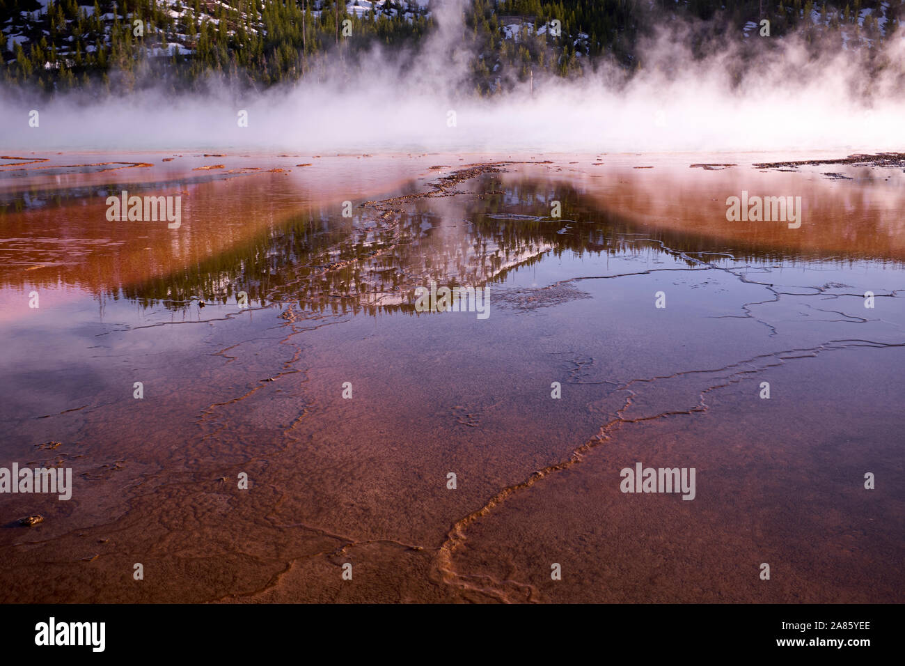 La vapeur, la couleur et les modèles de Grand Prismatic Hot Springs dans le Parc National de Yellowstone, Wyoming, USA Banque D'Images